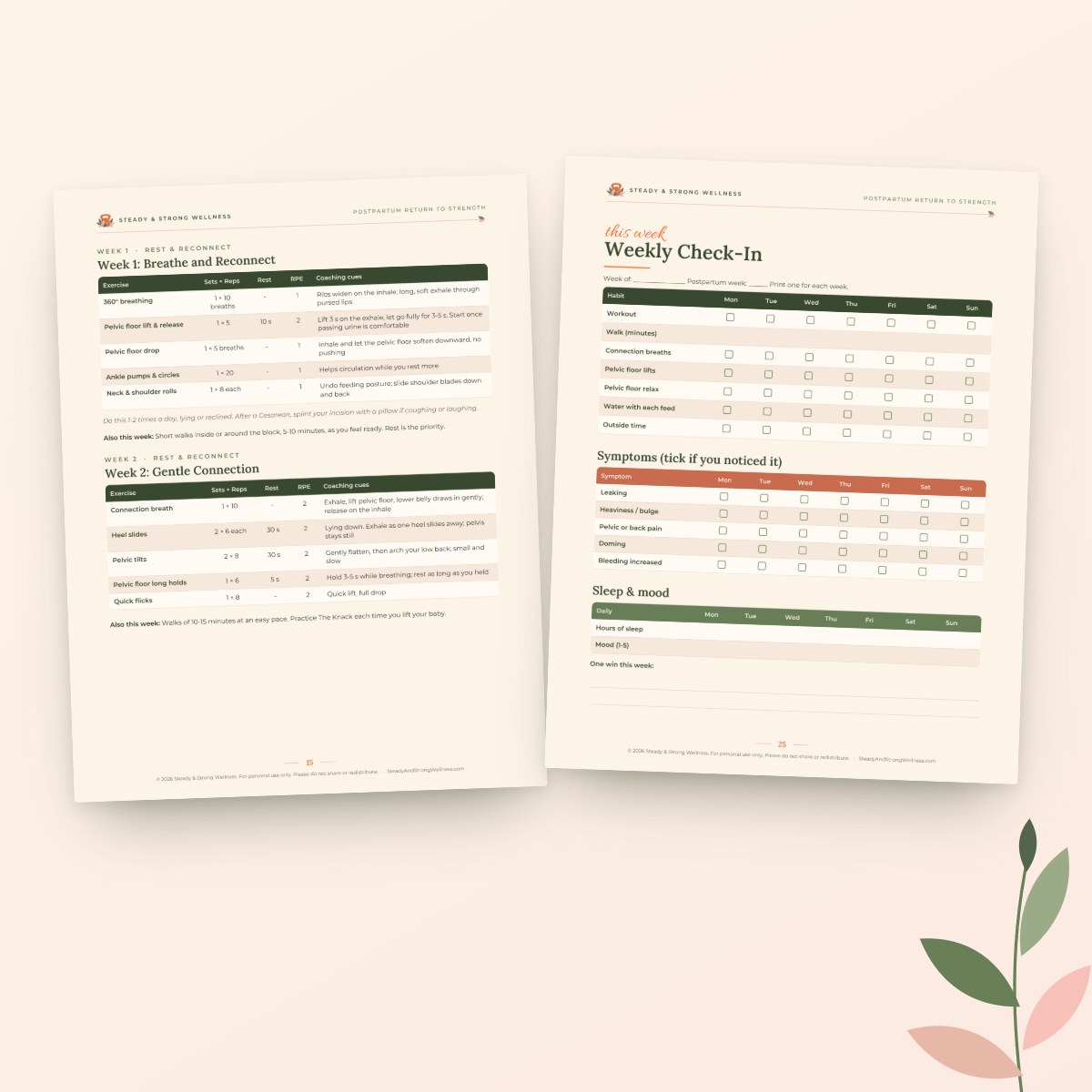Postpartum Return to Strength: 12-Week Roadmap